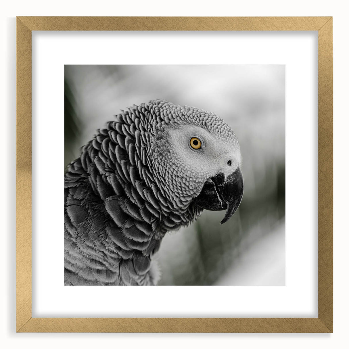Framed wall art featuring a vibrant parrot design, set in a gold frame with a white mat, ideal for tropical-themed decor and bird enthusiasts.