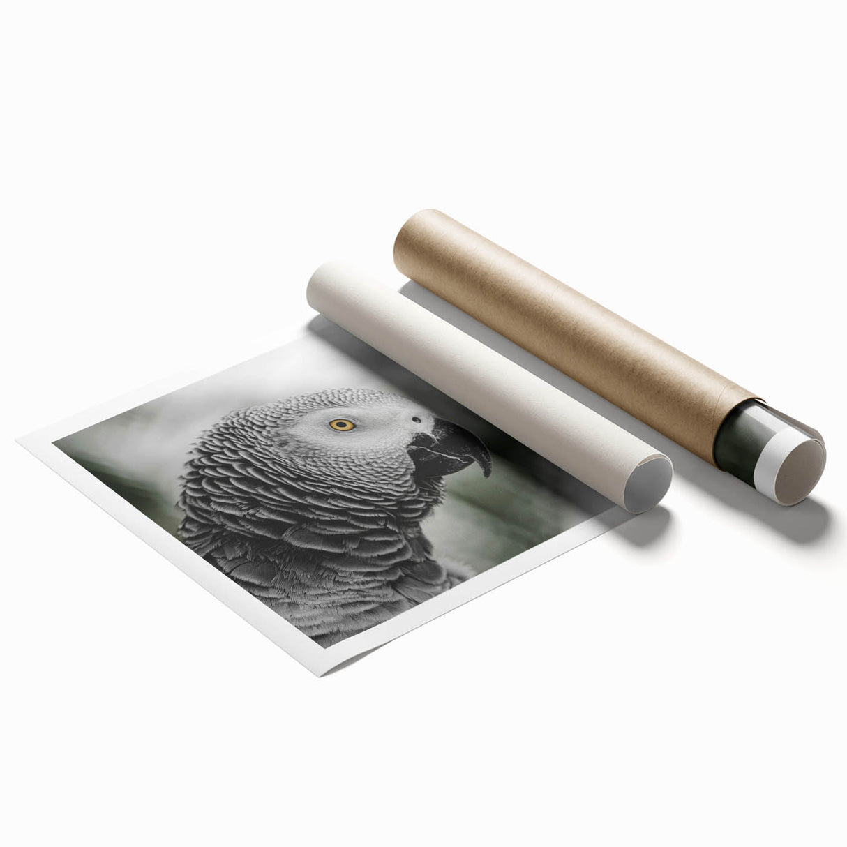 Colorful rolled print showcasing a vibrant collection of parrot illustrations, perfect for bird enthusiasts and home decor, packaged securely in a tube.