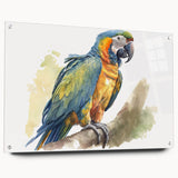 Colorful parrot wall art design displayed in a modern acrylic glass frame, showcasing vibrant feathers and intricate details, perfect for bird lovers' home decor.