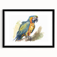 Framed wall art featuring a vibrant parrot design in a black frame with a mat, showcasing colorful birds against a light background, perfect for home decor.