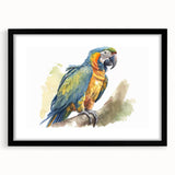 Framed wall art featuring a vibrant parrot design in a black frame with a mat, showcasing colorful birds against a light background, perfect for home decor.
