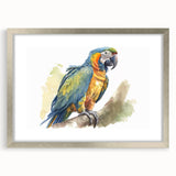 Framed wall art collection showcasing vibrant parrot designs in silver matting, perfect for adding a tropical touch to home decor or office spaces.
