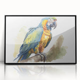 Framed wall art featuring a vibrant collection of colorful parrots on a black background, designed to enhance any living space with its striking visual appeal.