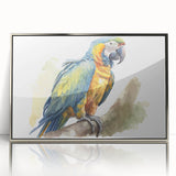 Framed wall art collection featuring vibrant parrot designs in acrylic, showcasing a silver frame and intricate details, perfect for bird lovers and home decor enthusiasts.