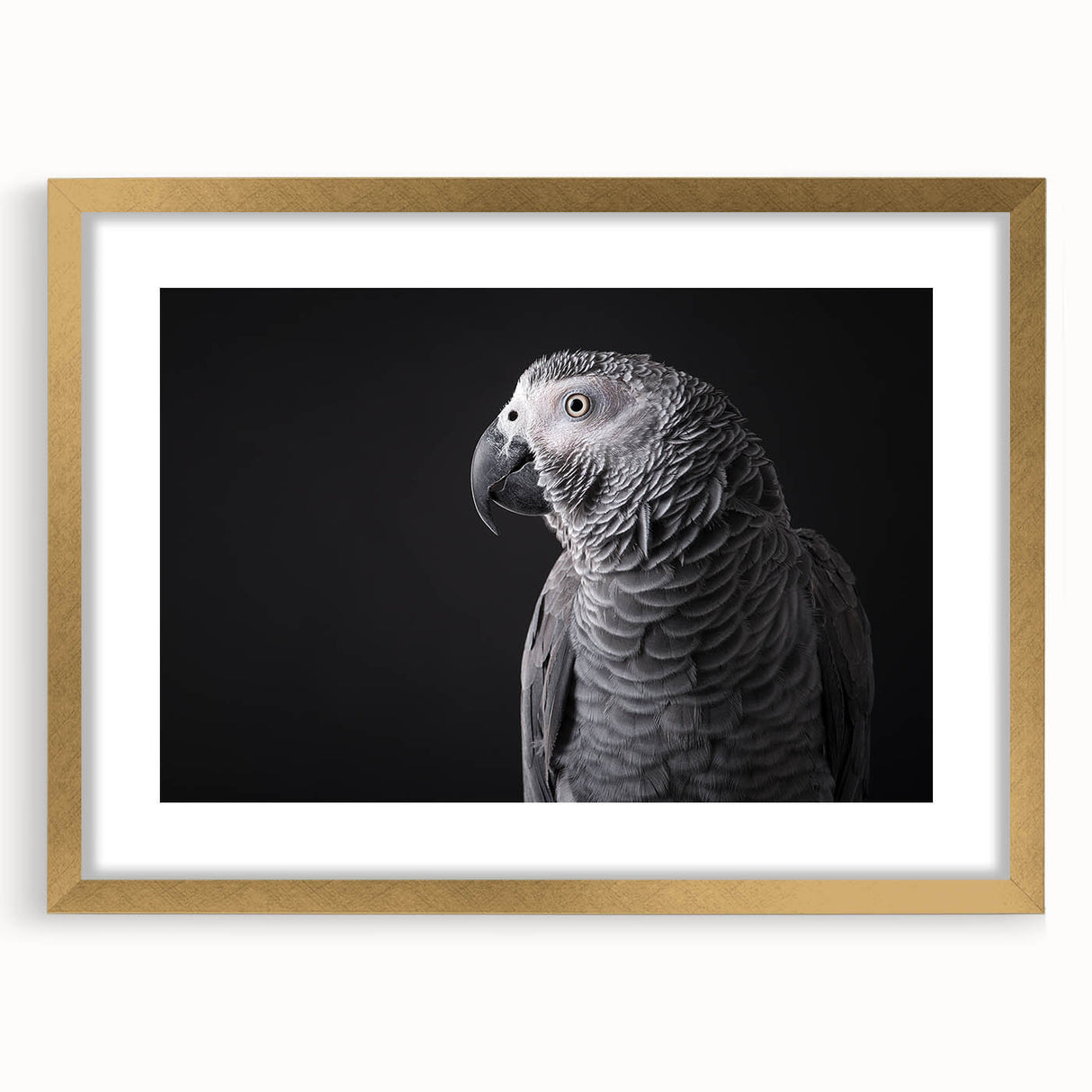 Framed wall art collection showcasing vibrant parrot designs in a gold frame, complete with a mat for an elegant touch, ideal for home decor.