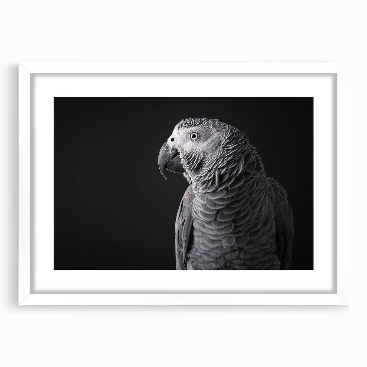 Framed wall art featuring a vibrant collection of colorful parrots in a tropical design, displayed in a sleek white frame with a mat, ideal for enhancing home decor.