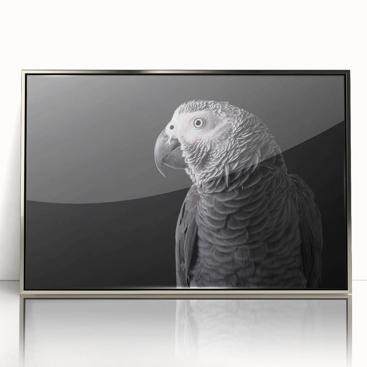 Framed wall art collection featuring vibrant parrot designs in a silver-acrylic finish, ideal for adding a tropical touch to modern interiors.