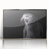 Framed wall art collection featuring vibrant parrot designs in a silver-acrylic finish, ideal for adding a tropical touch to modern interiors.