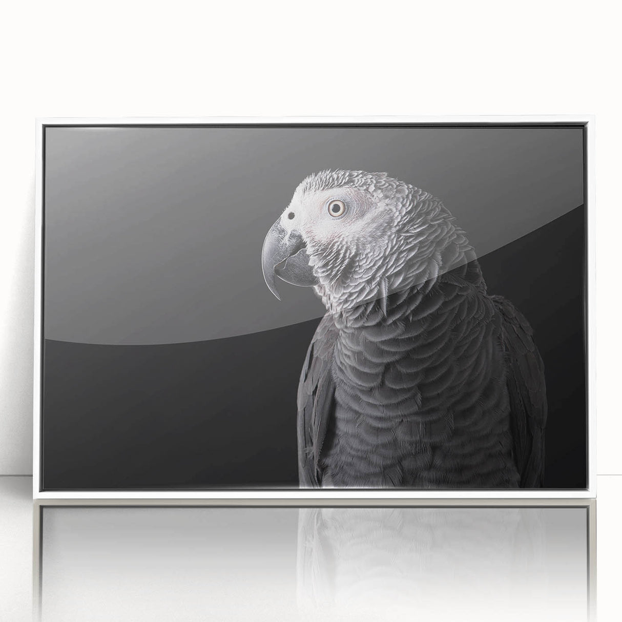 Framed wall art collection showcasing colorful parrot designs on acrylic, featuring a modern white frame, ideal for vibrant home decor. Perfect for bird lovers and nature enthusiasts.