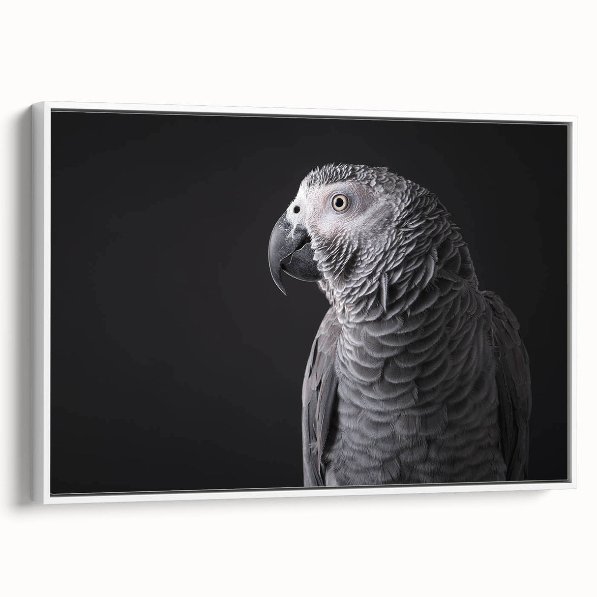 Framed canvas wall art showcasing a vibrant design of colorful parrots on a white background, perfect for enhancing home decor with a tropical theme.