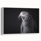Framed canvas wall art showcasing a vibrant design of colorful parrots on a white background, perfect for enhancing home decor with a tropical theme.