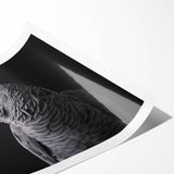 Vibrant rolled wall art print showcasing colorful parrots perched on branches, ideal for nature enthusiasts and bird lovers, packaged securely for delivery.