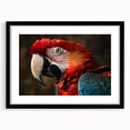 Framed wall art featuring a vibrant parrots design, showcasing colorful birds perched on branches, set in a sleek black frame with a mat, perfect for home decor.