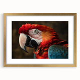 Framed wall art collection featuring vibrant parrots in a gold mat, showcasing intricate bird designs. Perfect for enhancing home decor with a tropical touch.