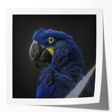 Vibrant wall art collection featuring a variety of colorful parrot designs on glossy prints, perfect for tropical-themed decor or bird enthusiasts.