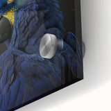 Close-up of a vibrant wall art collection featuring colorful parrot designs on acrylic glass, showcasing intricate details and a lively tropical theme ideal for home decor.