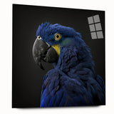 Colorful wall art featuring a vibrant design of various parrots on acrylic glass, showcasing intricate details and a modern aesthetic, ideal for enhancing any interior.