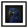 Framed wall art collection showcasing vibrant parrot designs in a sleek black frame, perfect for adding a tropical touch to home decor.