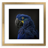 Framed wall art collection featuring vibrant parrot designs in gold matting, showcasing colorful birds against a serene backdrop, perfect for enhancing any living space.