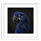 Elegant wall art display featuring a collection of colorful parrot designs framed with a white mat, showcasing vibrant hues and intricate details, perfect for enhancing home decor.