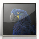Framed wall art collection featuring vibrant parrot and bird designs in a silver frame, showcasing colorful details against a sleek acrylic background, ideal for home decor enhancement.