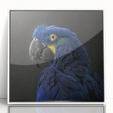 Framed wall art featuring a vibrant design of colorful parrots, set against a white background, perfect for enhancing home decor and adding a tropical touch.