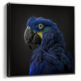 Framed wall art collection showcasing vibrant parrots in a tropical setting, featuring detailed designs on a black background, ideal for home decor enthusiasts.