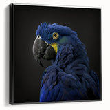 Framed wall art collection showcasing vibrant parrots in a tropical setting, featuring detailed designs on a black background, ideal for home decor enthusiasts.
