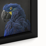 Vibrant close-up of a framed canvas featuring colorful parrot illustrations, showcasing intricate details and vivid hues, perfect for tropical-themed decor.