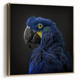 Framed canvas wall art showcasing a vibrant design of colorful parrots perched on branches, featuring a gold frame, ideal for enhancing home decor with a tropical flair.