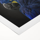 Colorful rolled canvas featuring a vibrant collection of parrot wall art designs, showcasing detailed tropical birds against a vivid background, perfect for home decor.