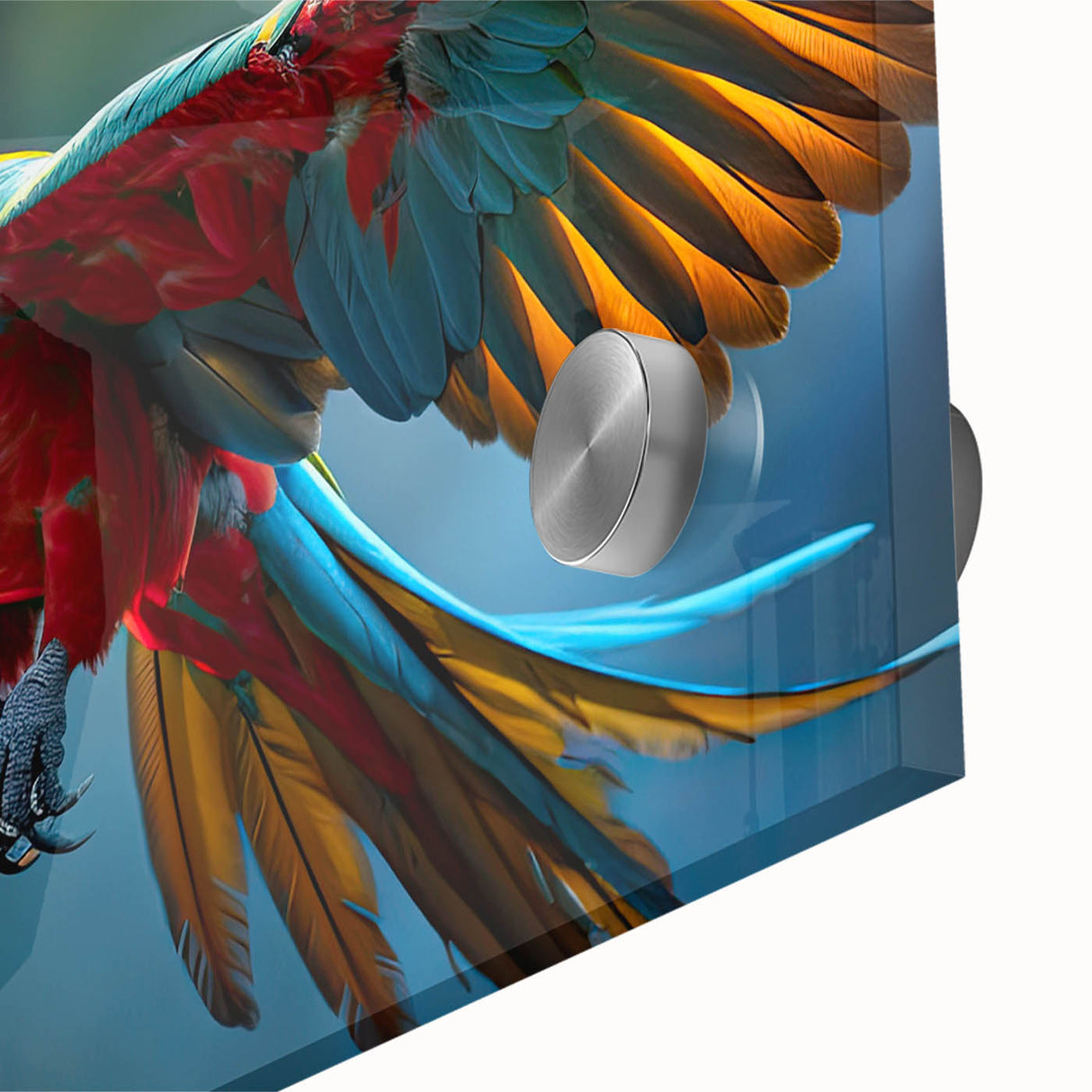Vibrant close-up of a stunning wall art collection featuring colorful parrots on acrylic glass, showcasing intricate details and vivid hues, perfect for bird enthusiasts.