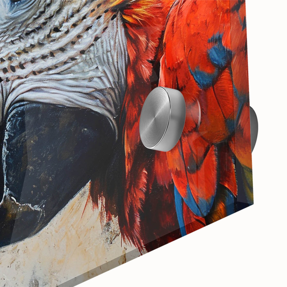 Close-up of a vibrant wall art design featuring colorful parrots on acrylic glass, showcasing detailed textures and vivid hues, perfect for bird lovers' decor.
