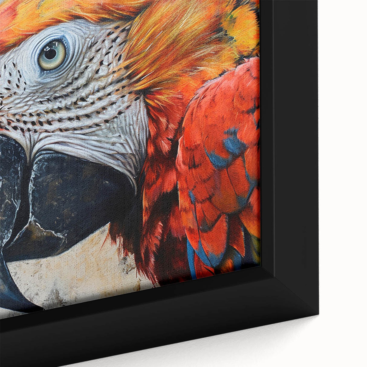 Vibrant close-up of a framed canvas wall art collection featuring colorful parrots on a natural background, perfect for bird lovers and home decor enthusiasts.
