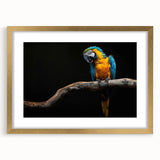 Framed wall art featuring a vibrant design of colorful parrots on a white background, accented with a gold frame and mat, perfect for bird lovers' decor.