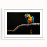 Framed wall art showcasing vibrant parrots in a tropical design, featuring a white mat and sleek frame, perfect for adding color to any room decor.