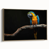 Framed canvas wall art featuring a vibrant collection of colorful parrots on a gold background, showcasing intricate detailing and a modern artistic style, perfect for enhancing home decor.