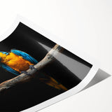 Vibrant wall art print featuring a colorful design of parrots amidst lush tropical foliage, perfect for adding a lively touch to home decor. This rolled print showcases intricate details and bright colors, ideal for bird and nature enthusiasts.