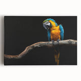 Vibrant stretched canvas wall art featuring colorful parrots perched on branches, ideal for nature lovers and home decor enthusiasts, showcasing intricate details and lively hues.