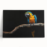Vibrant wall art featuring a collection of colorful parrots on stretched canvas, ideal for adding a tropical touch to home decor. Perfect for bird lovers.