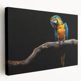 Vibrant stretched canvas wall art featuring a colorful parrot design, showcasing detailed feathers and a tropical background, perfect for enhancing living spaces.