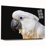 Vibrant acrylic wall art collection featuring a side view of multicolored parrots perched on branches, showcasing intricate details against a sleek glass frame. Perfect for animal lovers and home decor enthusiasts.