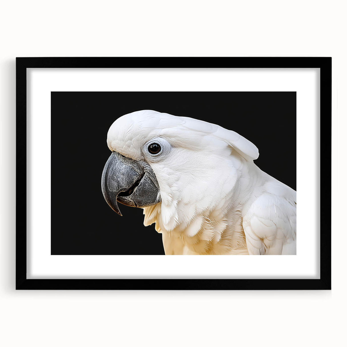 Black-framed wall art featuring a vibrant design of colorful parrots set against a lush green background, perfect for enhancing any living space or office decor.