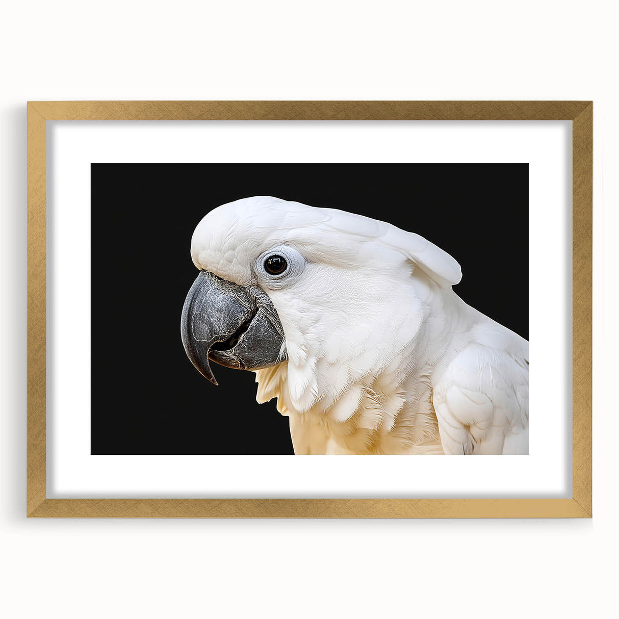 Framed wall art featuring a vibrant parrot design with gold accents, elegantly displayed with a white mat, perfect for enhancing any living space decor.