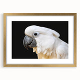 Framed wall art featuring a vibrant parrot design with gold accents, elegantly displayed with a white mat, perfect for enhancing any living space decor.