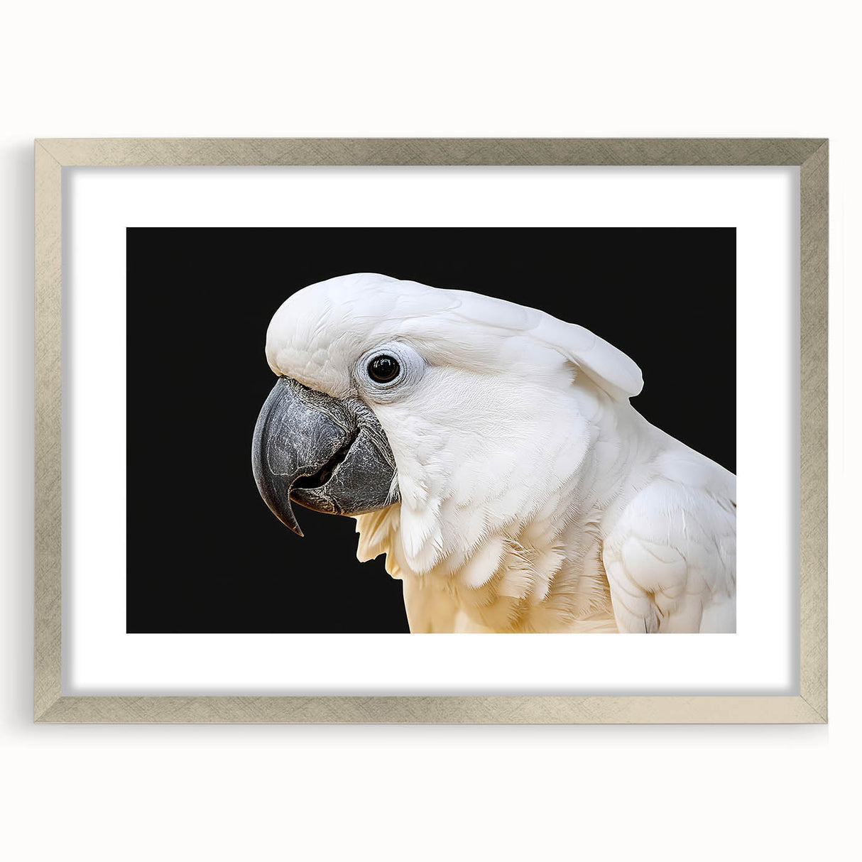 Framed wall art collection showcasing vibrant parrots in a lush tropical setting, featuring a silver mat and frame, ideal for enhancing home decor.