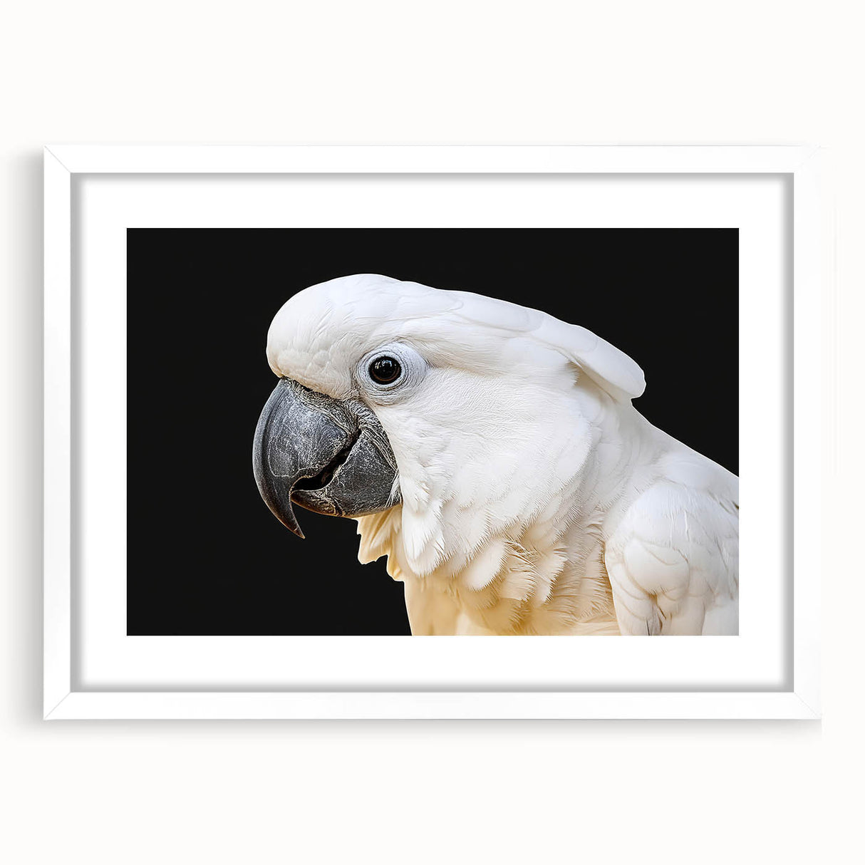 Framed wall art featuring a vibrant parrot design in a white mat, showcasing colorful birds against a minimalist backdrop, ideal for home decor or nature enthusiasts.