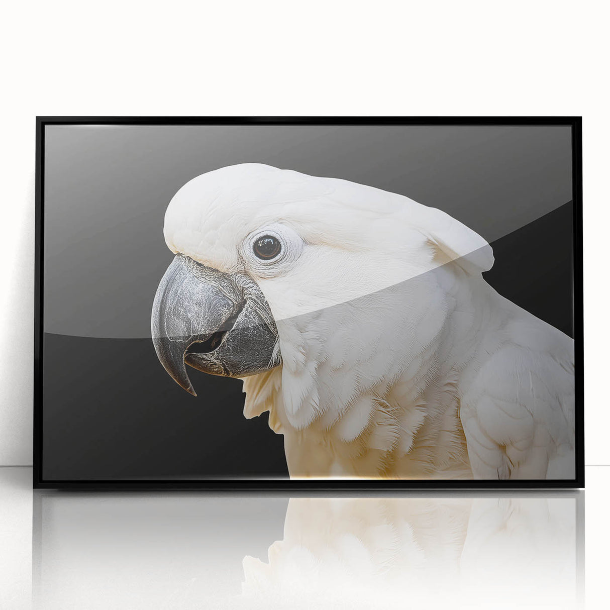 Framed wall art featuring a vibrant parrot design in an acrylic finish, presented in a sleek black frame, perfect for adding a tropical touch to home decor.