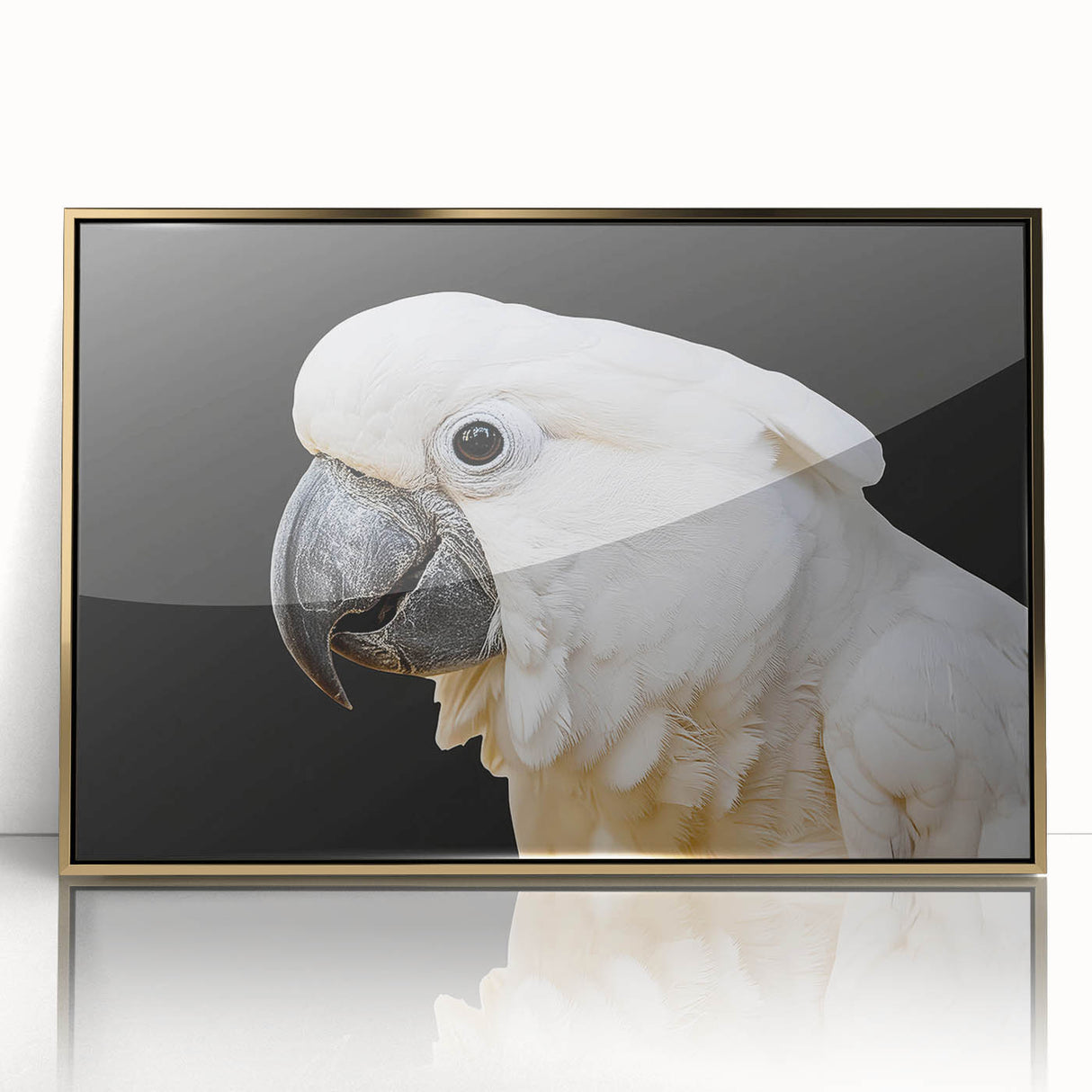 Framed wall art showcasing a vibrant collection of colorful parrots, set against a golden acrylic background, perfect for enhancing home decor with a tropical flair.