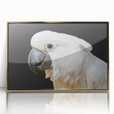 Framed wall art showcasing a vibrant collection of colorful parrots, set against a golden acrylic background, perfect for enhancing home decor with a tropical flair.